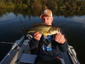 Largemouth Bass
