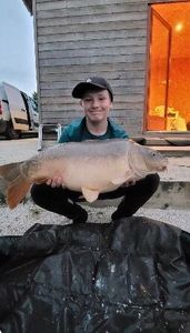 Mirror Carp