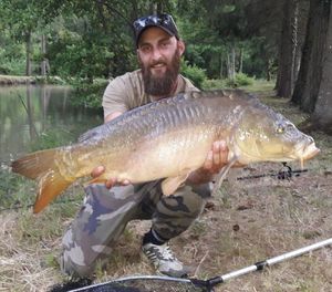 Mirror Carp