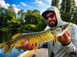 Northern Pike