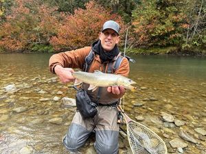 Bull Trout
