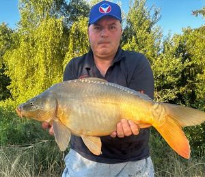 Mirror Carp