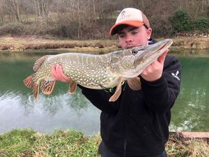Northern Pike