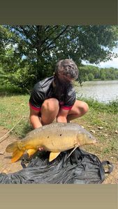 Mirror Carp