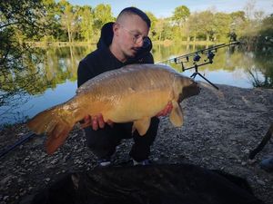 Mirror Carp