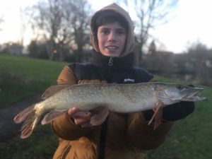 Northern Pike