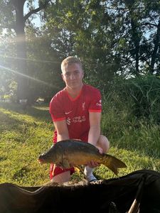 Common Carp