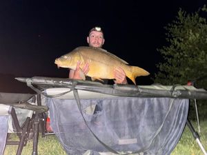 Mirror Carp