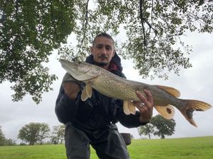 Northern Pike