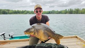 Mirror Carp