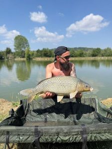 Common Carp
