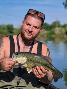 Largemouth Bass