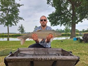 Grass Carp