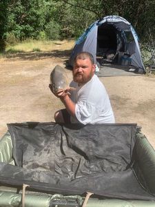 Leather Carp