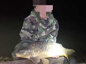 Mirror Carp