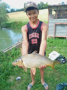 Common Carp