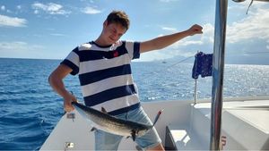 Frigate Tuna