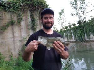 Largemouth Bass