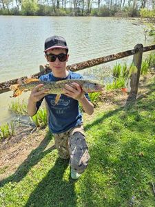 Northern Pike