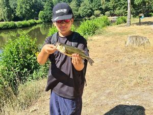Largemouth Bass