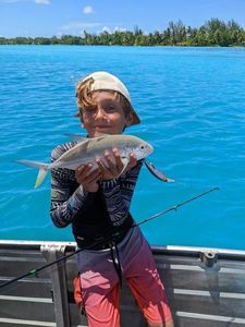 Bigeye Trevally