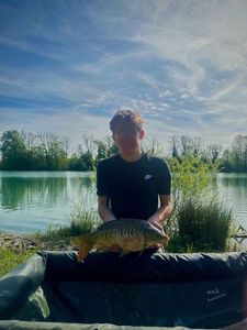 Mirror Carp
