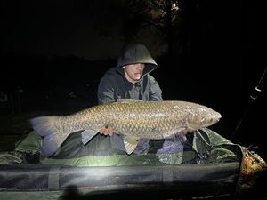 Grass Carp