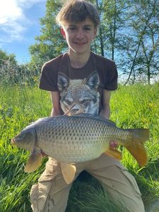 Common Carp