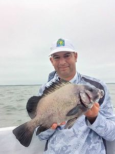 African Red Snapper