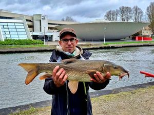 Barbel