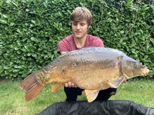 Mirror Carp