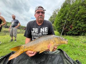 Mirror Carp