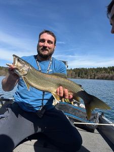 Lake Trout