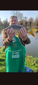 Mirror Carp
