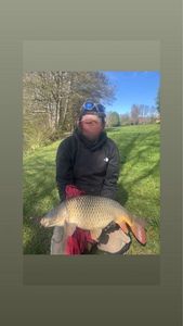 Common Carp