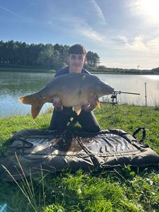Mirror Carp