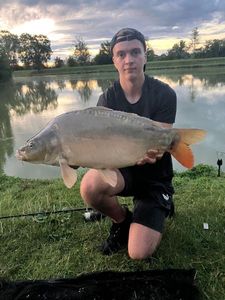 Mirror Carp