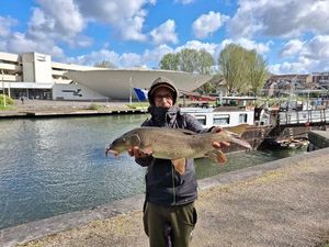Barbel