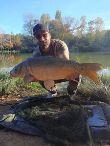 Mirror Carp