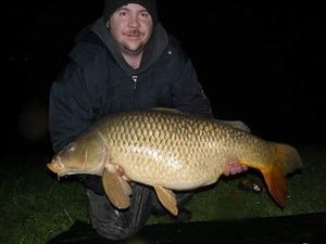 Common Carp