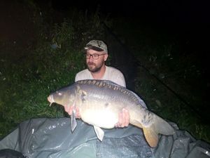 Mirror Carp