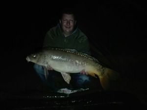 Mirror Carp