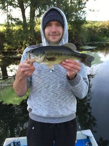 Largemouth Bass