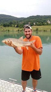 Barbel