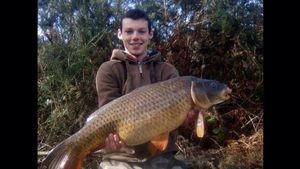 Common Carp