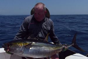 Yellowfin Tuna