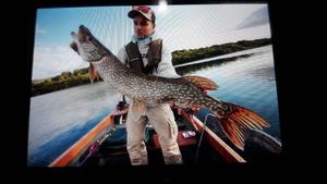 Northern Pike