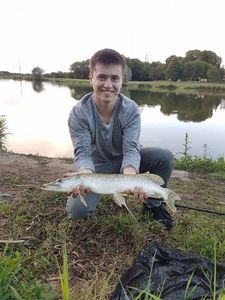 Northern Pike