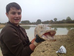 Northern Pike