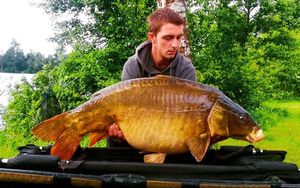 Mirror Carp